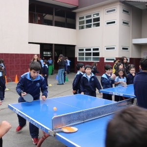 Día de la Actividad Física